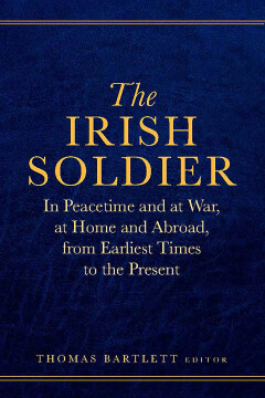 The Irish Soldier