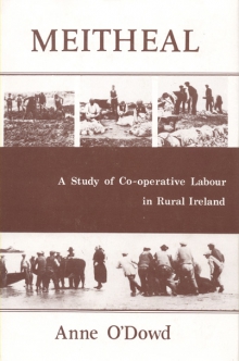 Meitheal: a study of co-operative labour in rural Ireland