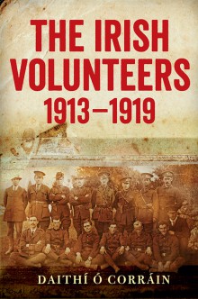 The Irish Volunteers, 1913–19
