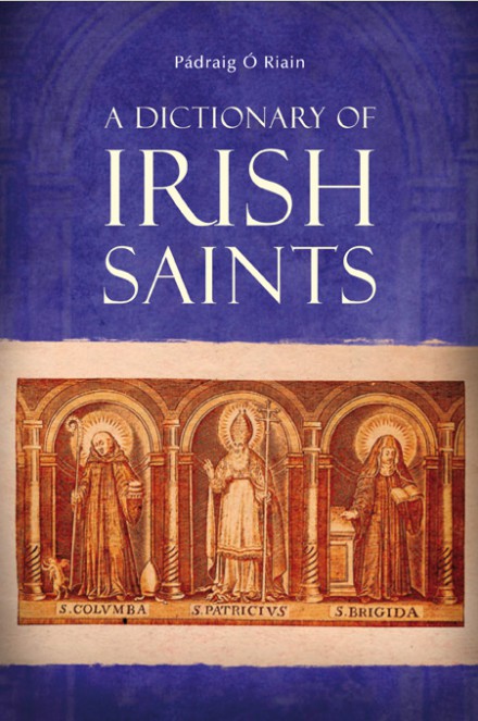 A dictionary of Irish saints